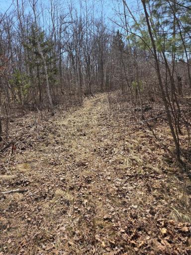 51948 River Road, Rush City, MN 55069