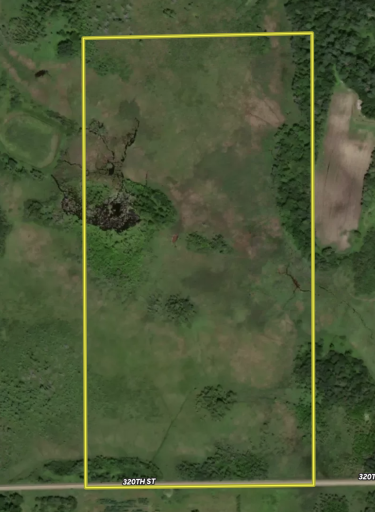 TBD 320th Street, Browerville, MN 56438