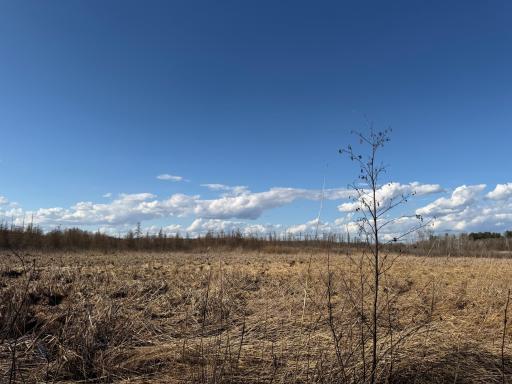 TBD 320th Street, Browerville, MN 56438