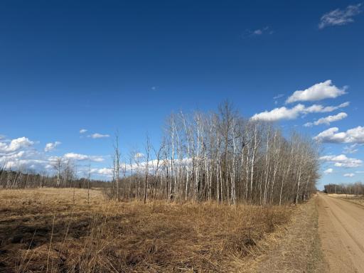 TBD 320th Street, Browerville, MN 56438