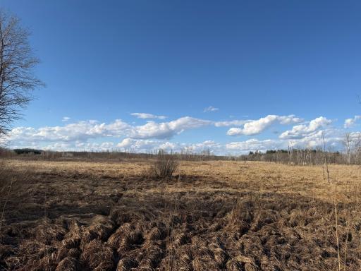 TBD 320th Street, Browerville, MN 56438