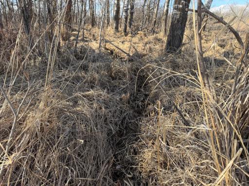 TBD 320th Street, Browerville, MN 56438