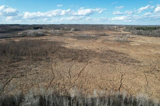 dji_fly_20260415_174528_168_1776293457753_photo.jpg