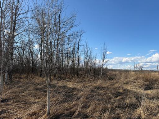 TBD 320th Street, Browerville, MN 56438
