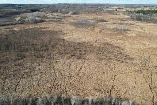 dji_fly_20260415_174532_169_1776293460097_photo.jpg