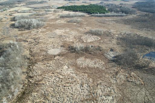 dji_fly_20260415_174724_181_1776293490991_photo.jpg