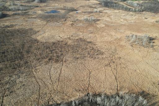 dji_fly_20260415_174536_170_1776293462531_photo.jpg