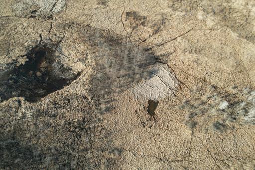 dji_fly_20260415_174626_175_1776293475527_photo.jpg