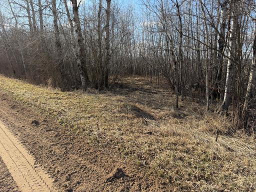 TBD 320th Street, Browerville, MN 56438