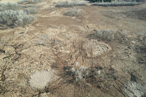 dji_fly_20260415_174732_182_1776293493677_photo.jpg