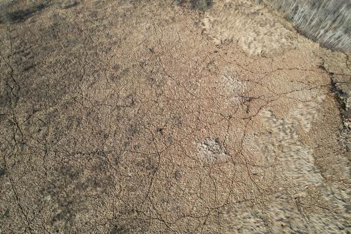 dji_fly_20260415_174642_177_1776293480992_photo.jpg