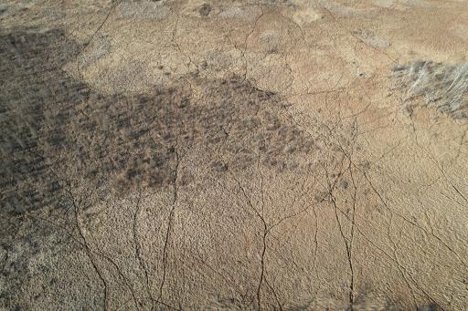 dji_fly_20260415_174602_171_1776293465139_photo.jpg