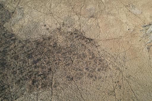 dji_fly_20260415_174608_172_1776293467806_photo.jpg