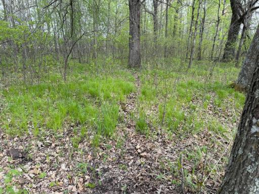 TBD 320th Street, Browerville, MN 56438