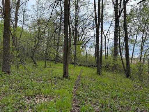 TBD 320th Street, Browerville, MN 56438