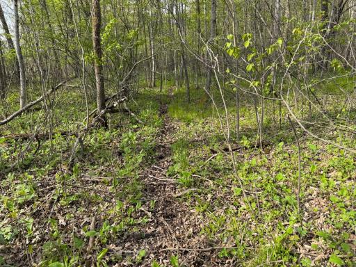 TBD 320th Street, Browerville, MN 56438