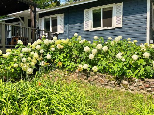 22938 Portage Pass Road, Deerwood, MN 56444
