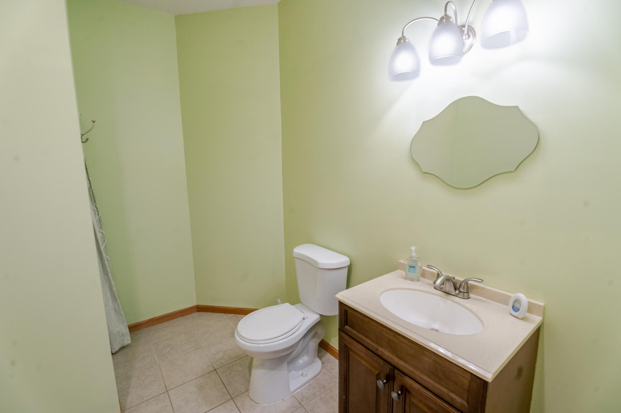 Lower level bathroom