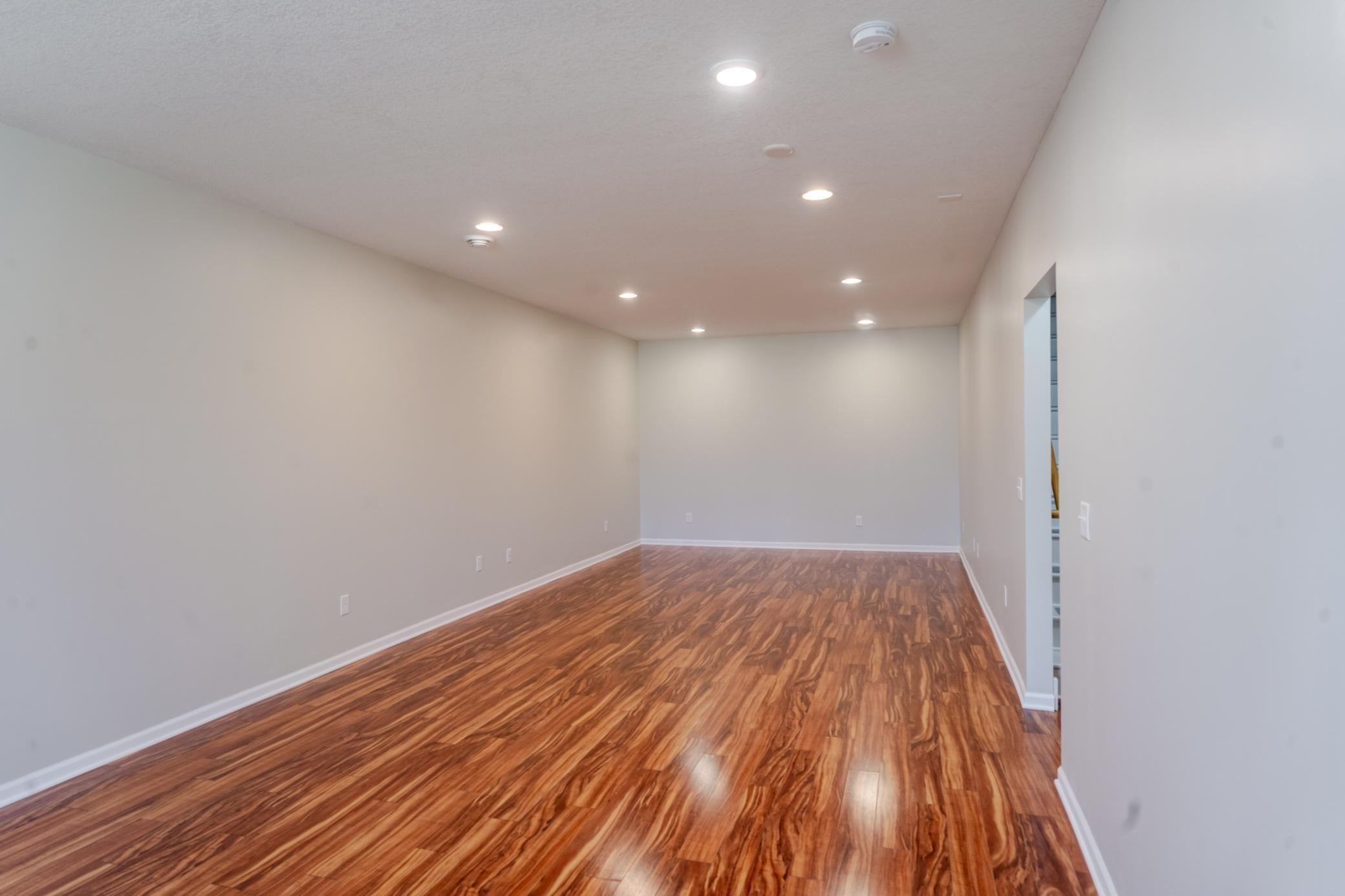 Lower level family room