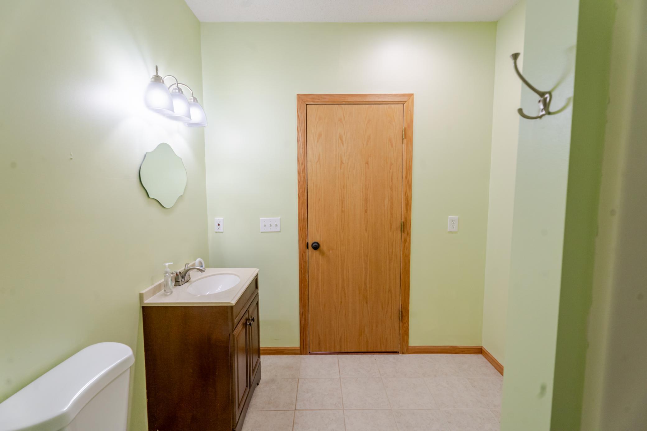 Lower level bathroom