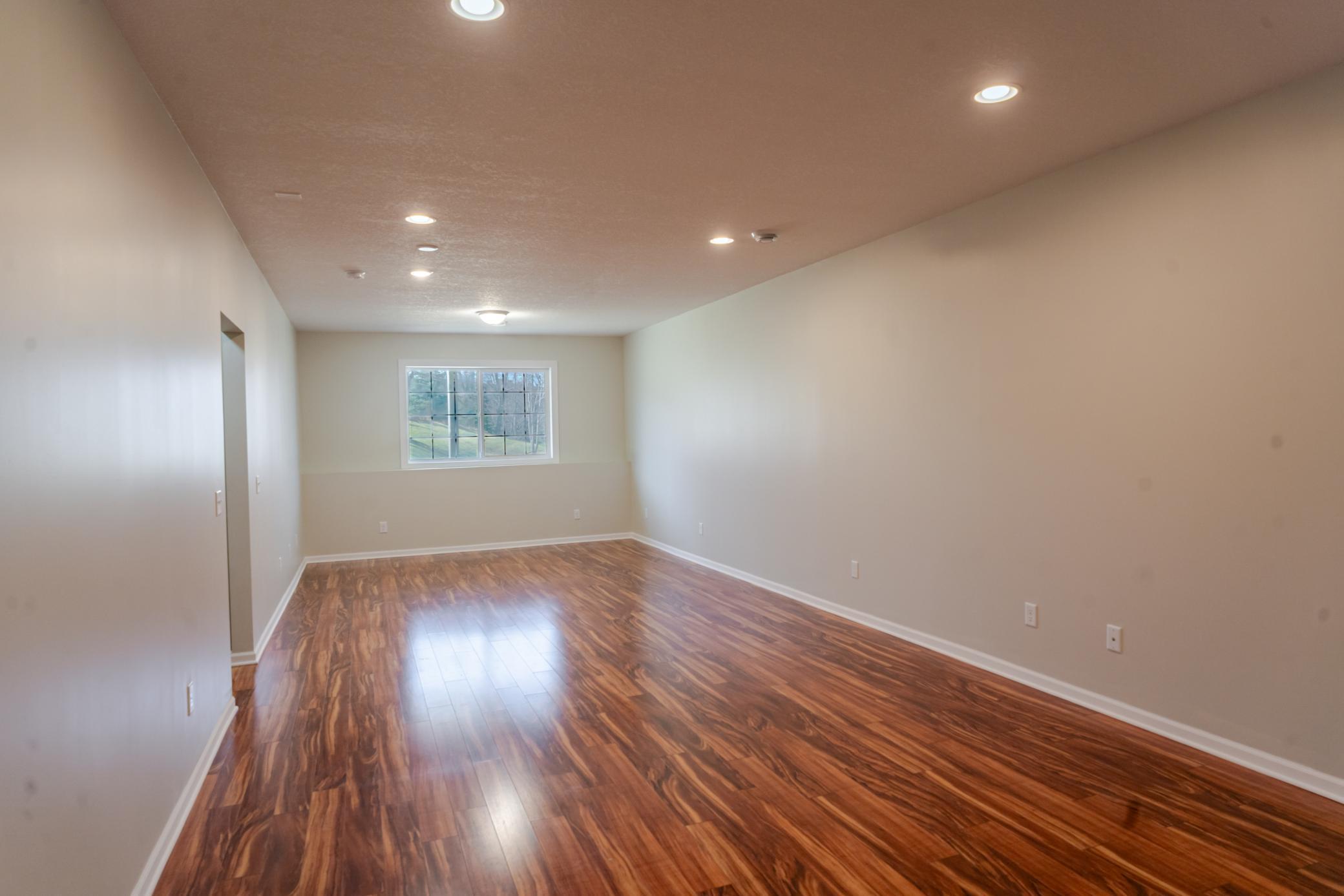 Lower level family room