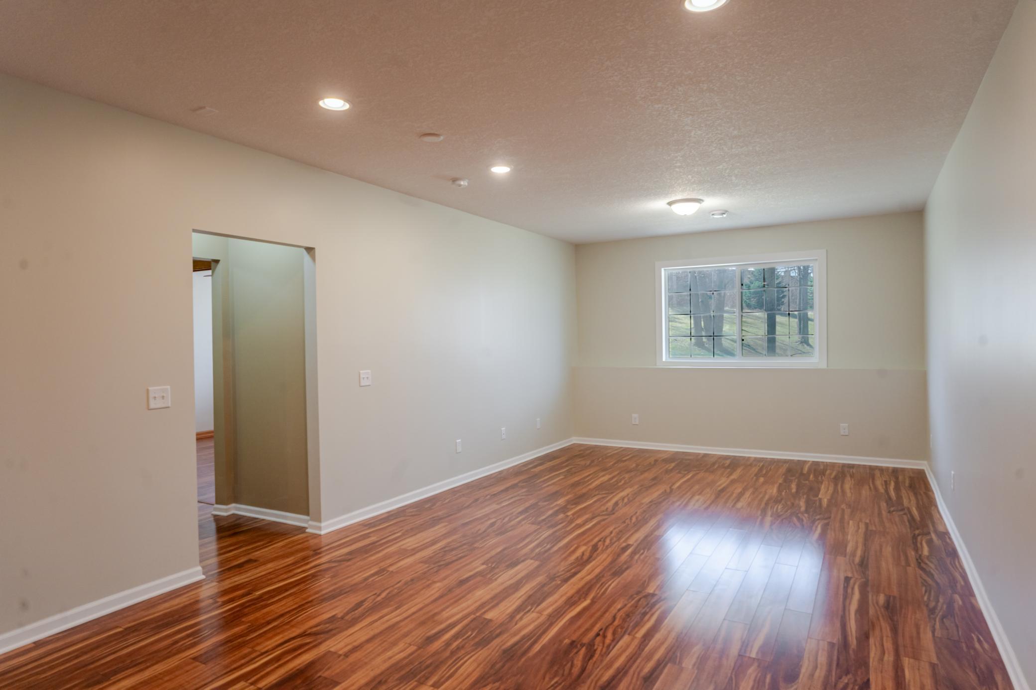 Lower level family room