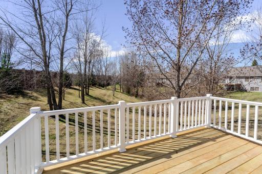 11445 Nicholas Circle, Monticello, MN 55362