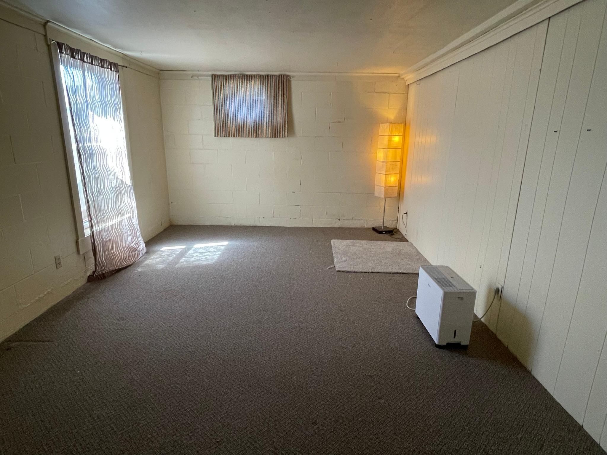 Lower level bedroom