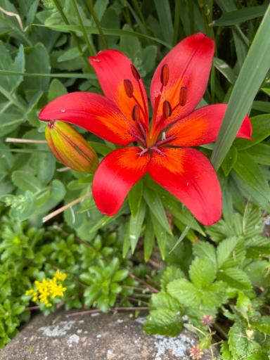 201 Hilltop Road, Shell Lake, WI 54871