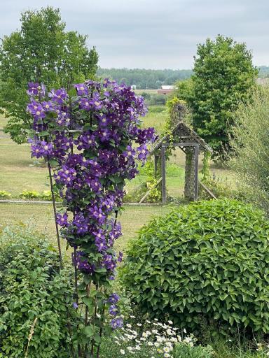 201 Hilltop Road, Shell Lake, WI 54871