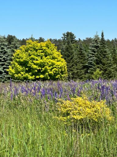 201 Hilltop Road, Shell Lake, WI 54871