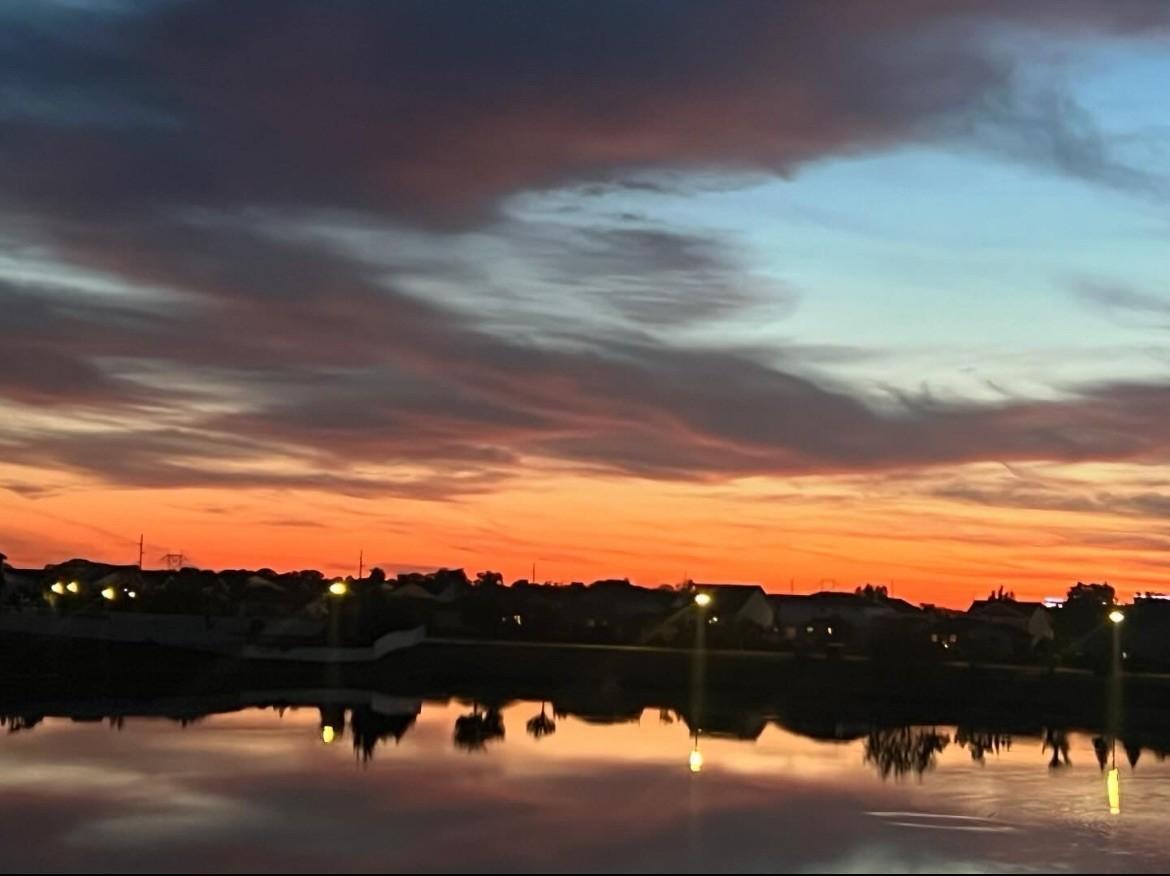 Sunset Views of the Pond.jpg