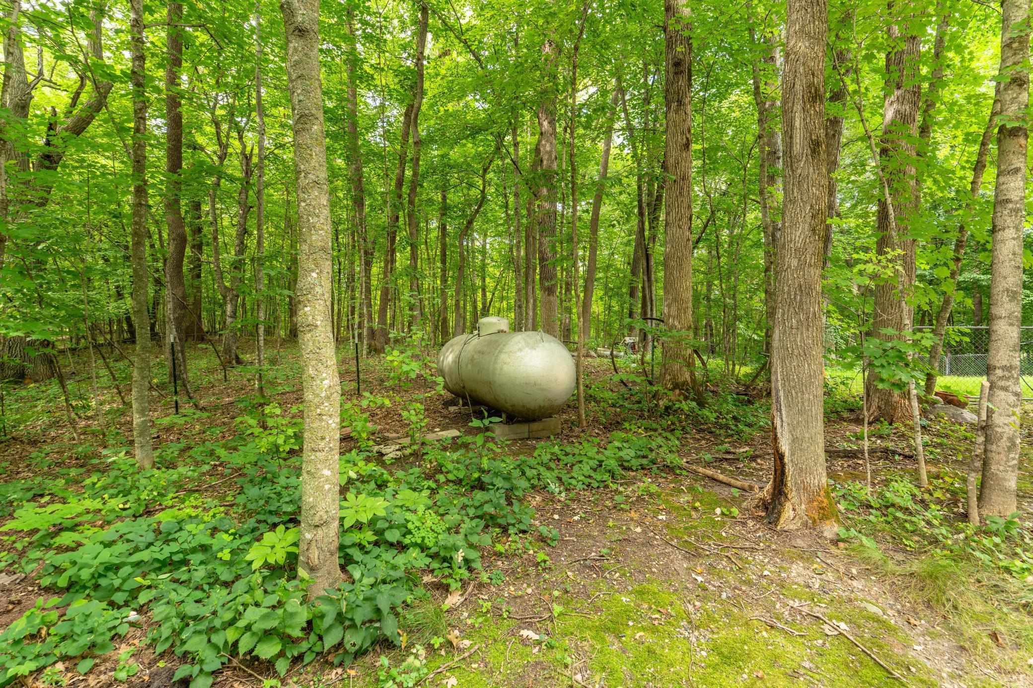 38079 Dead Lake Rd Richville-108.jpg