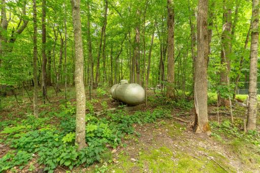 38079 Dead Lake Road, Richville, MN 56576