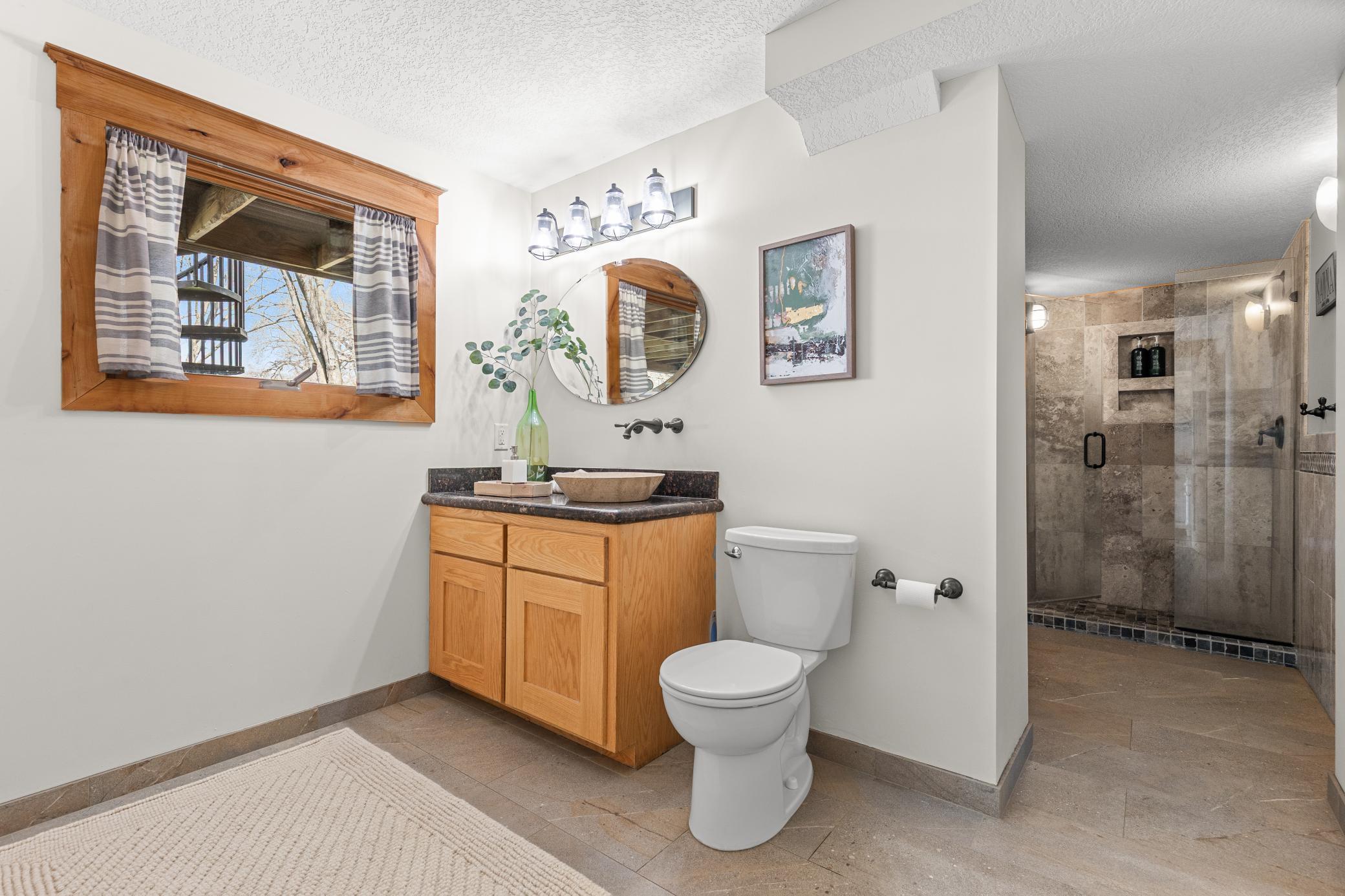 Lower level bathroom