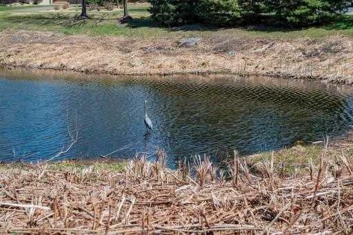 12105 Yancy Street NE, A, Blaine, MN 55449