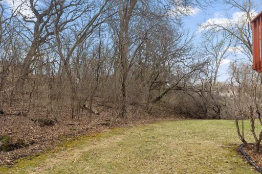 12318 Oak Leaf Court, Burnsville, MN 55337