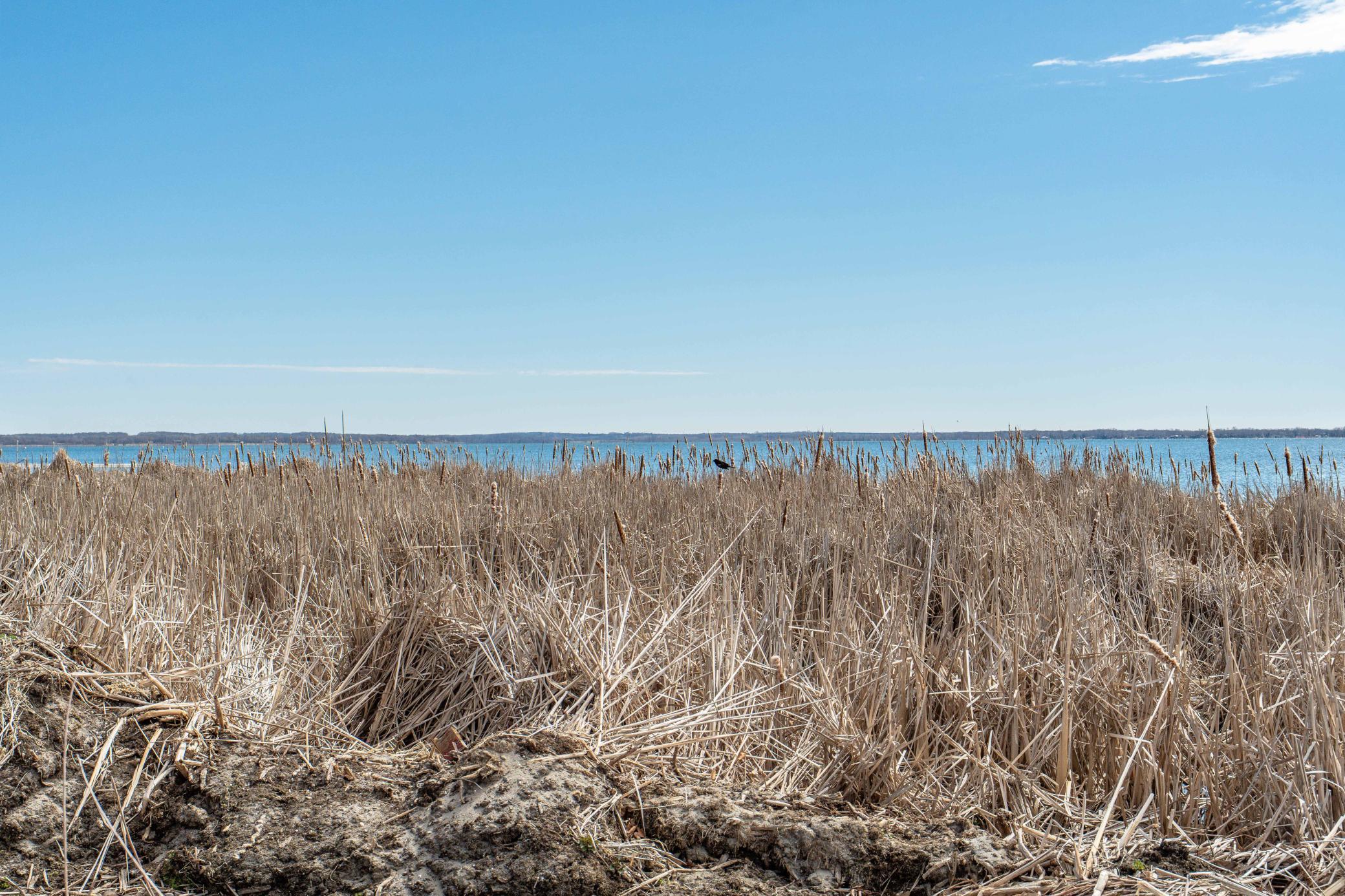 44556 McGowan Estate Rd Ottertail-123.jpg