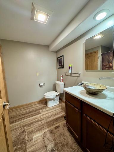 Lower Level Full Bathroom