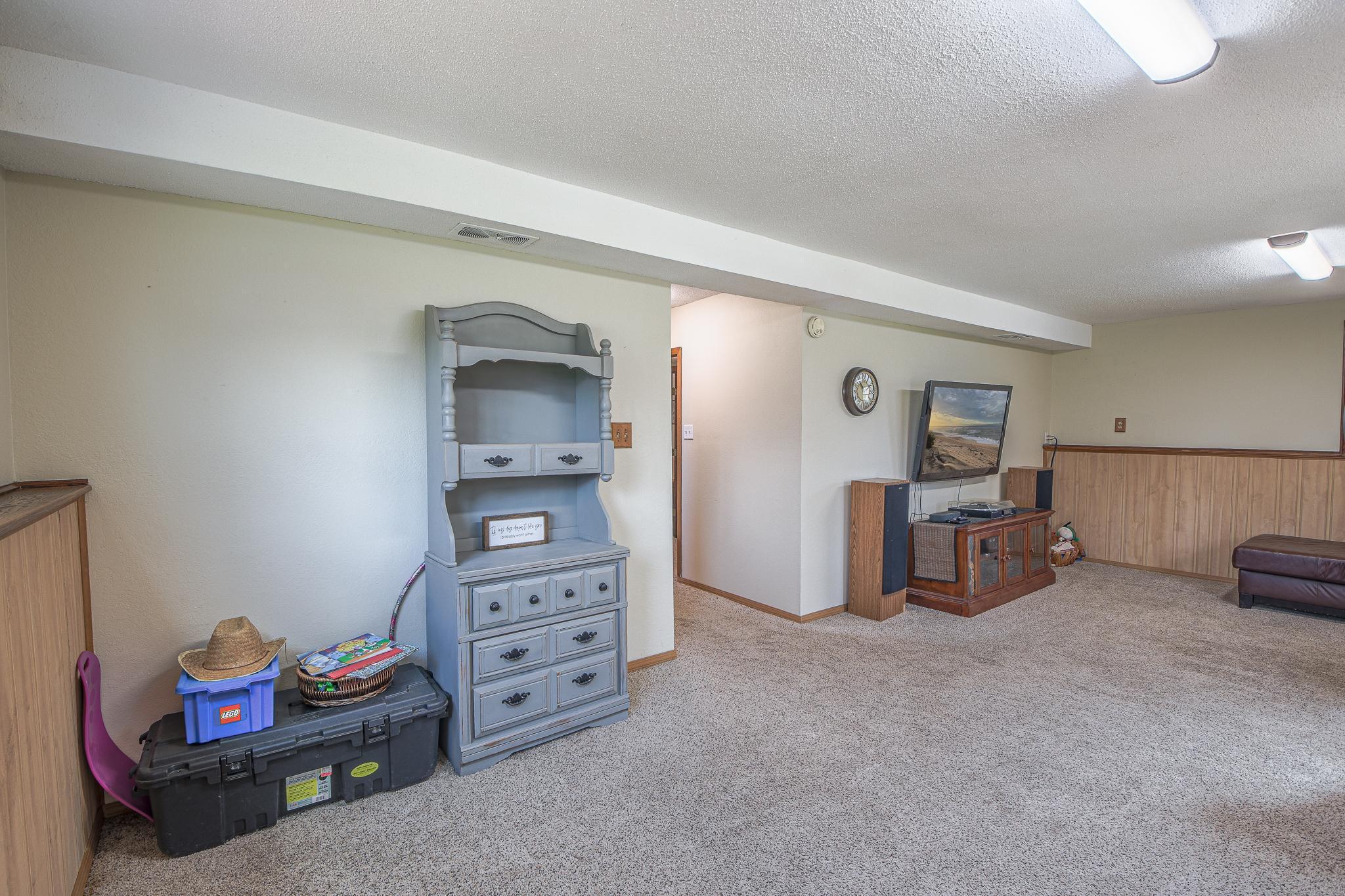 Another view of the lower level.