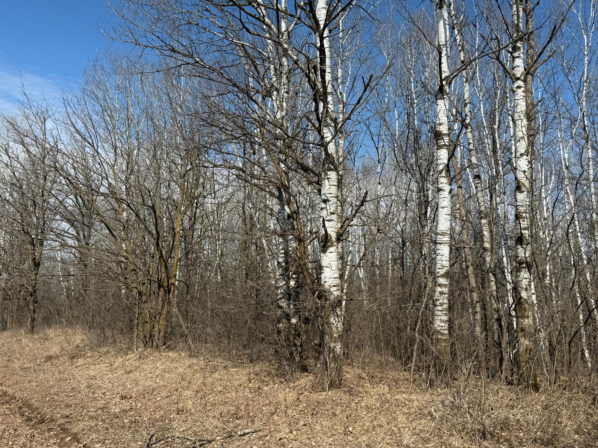 IMG_5373.jpeg