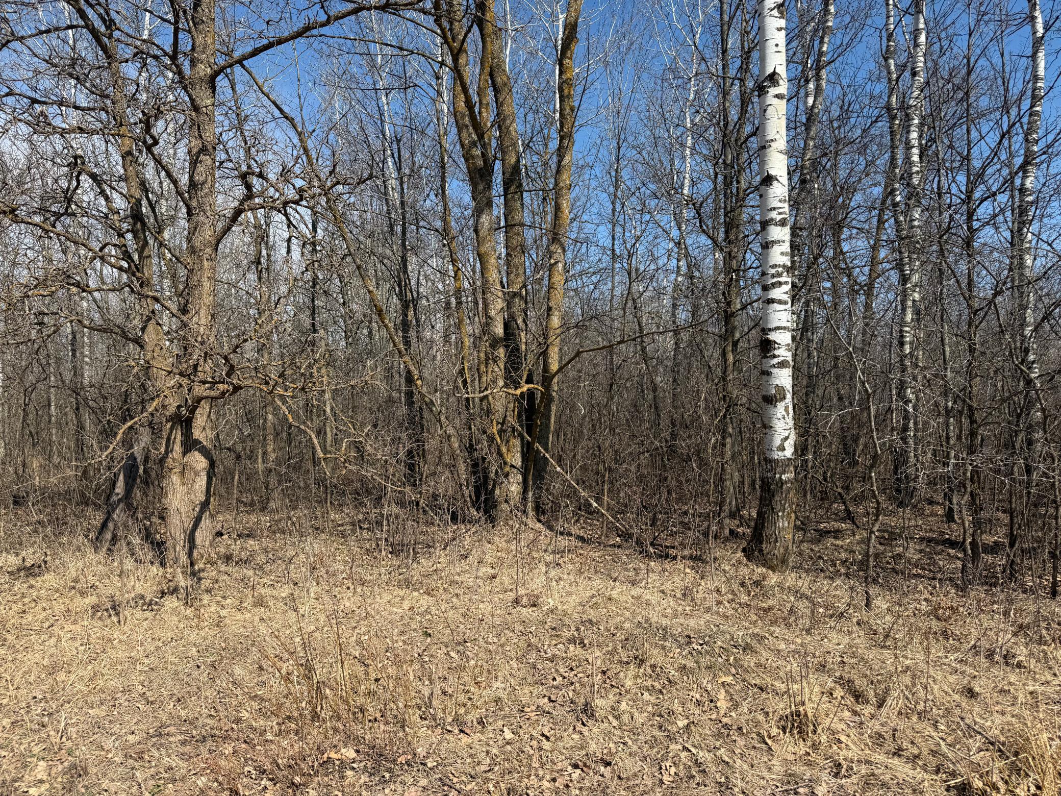 IMG_5396.jpeg