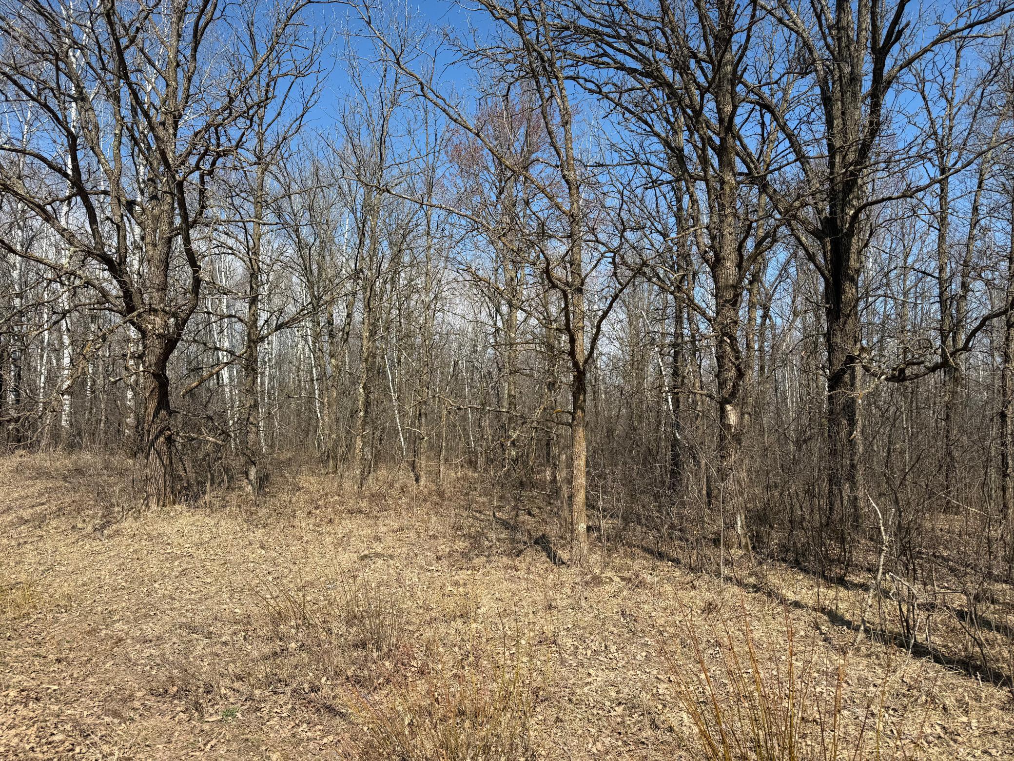 IMG_5371.jpeg
