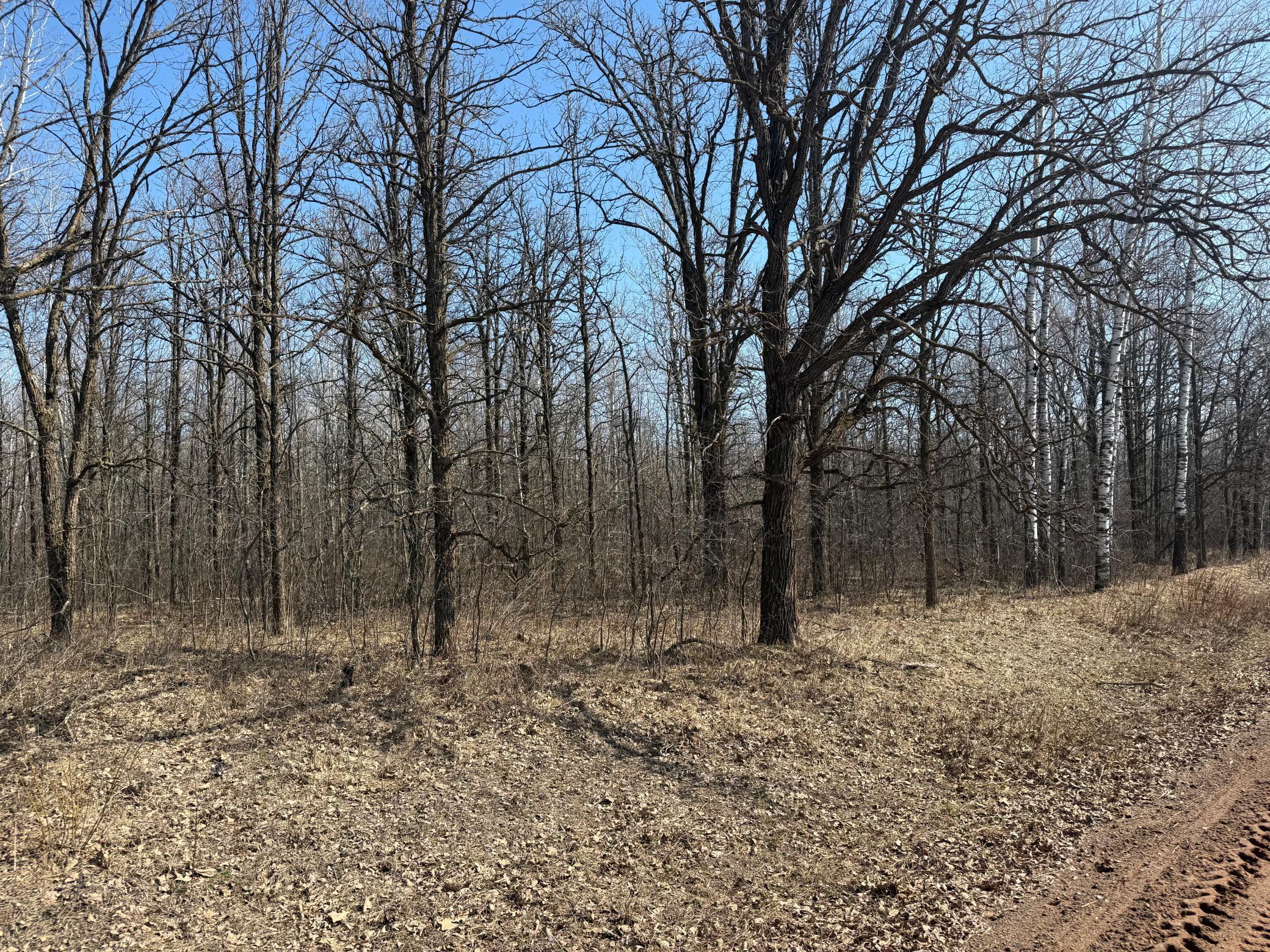 IMG_5370.jpeg