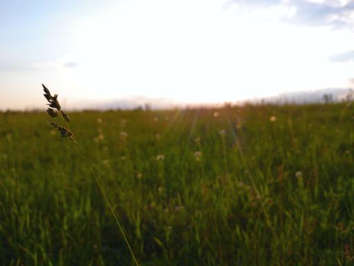 40xxx 160th Street, Frazee, MN 56544