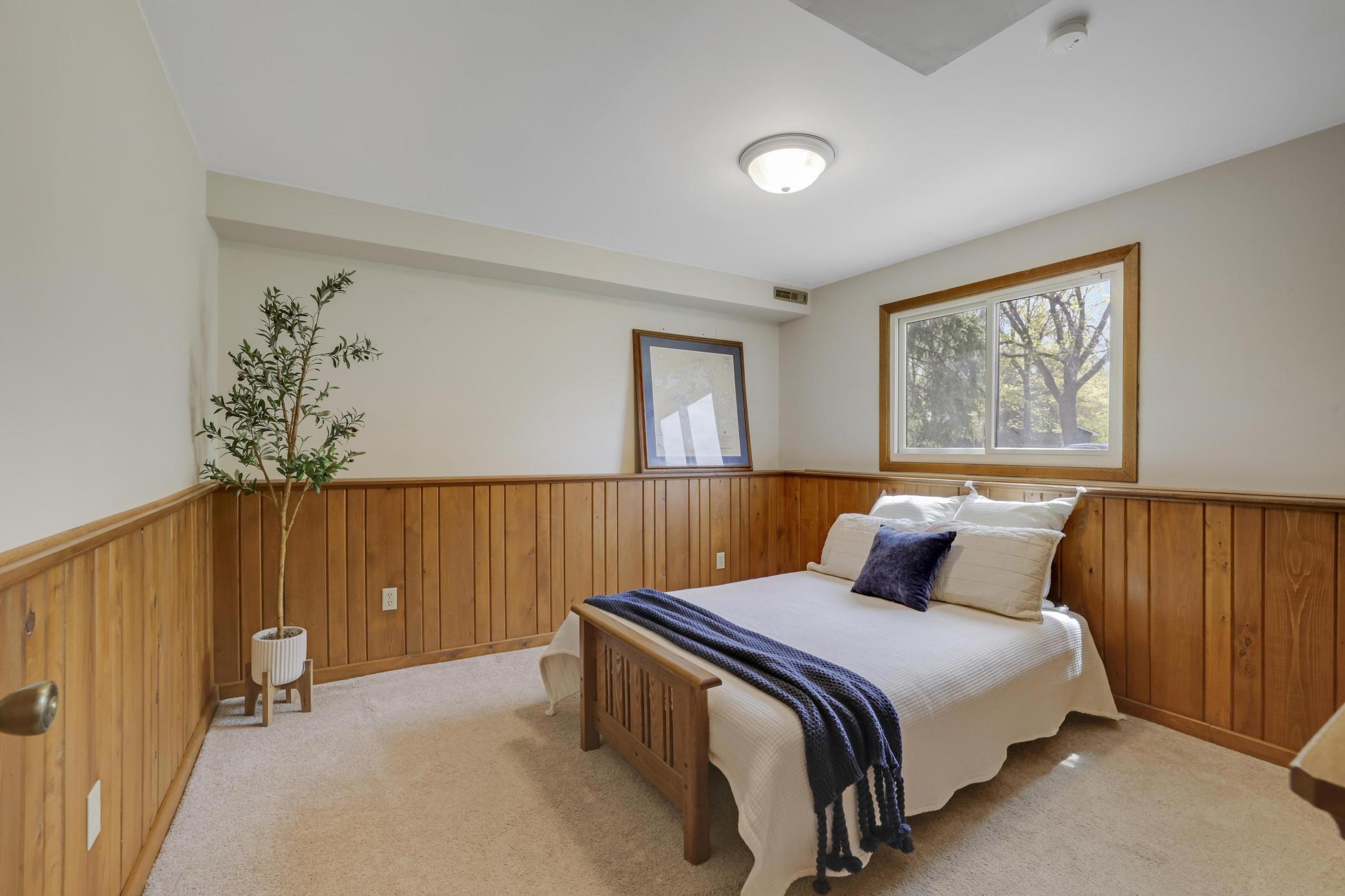 Lower level 4th bedroom