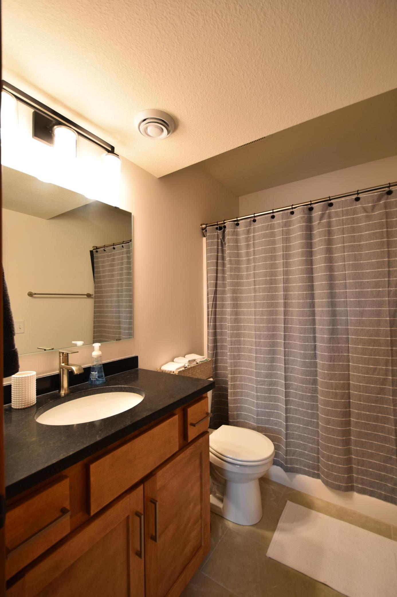 basement bathroom-full