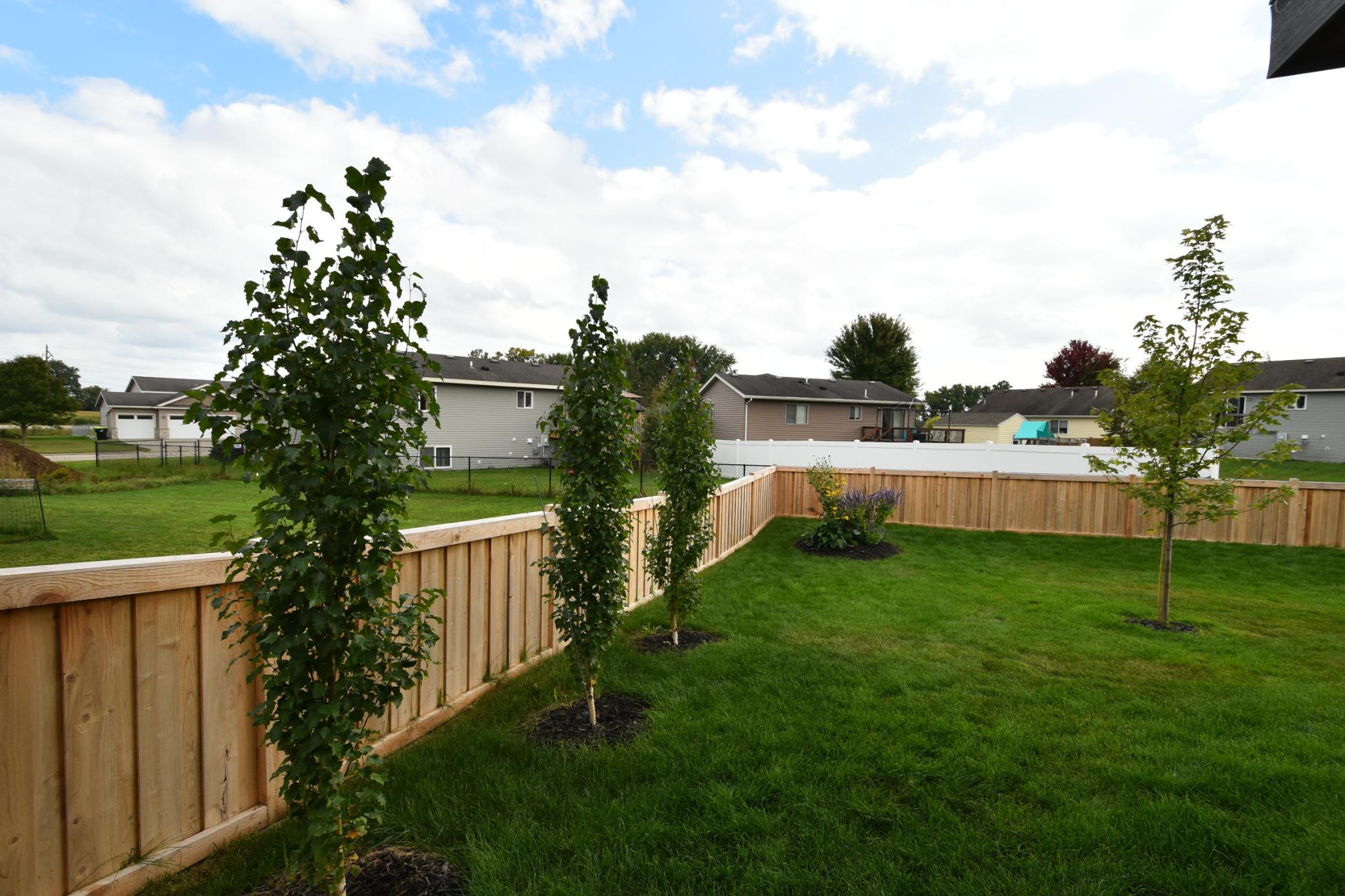 Many newly planted trees