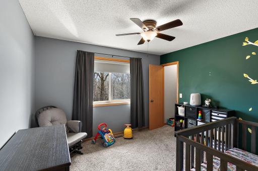 13813 298th Avenue, Princeton, MN 55371