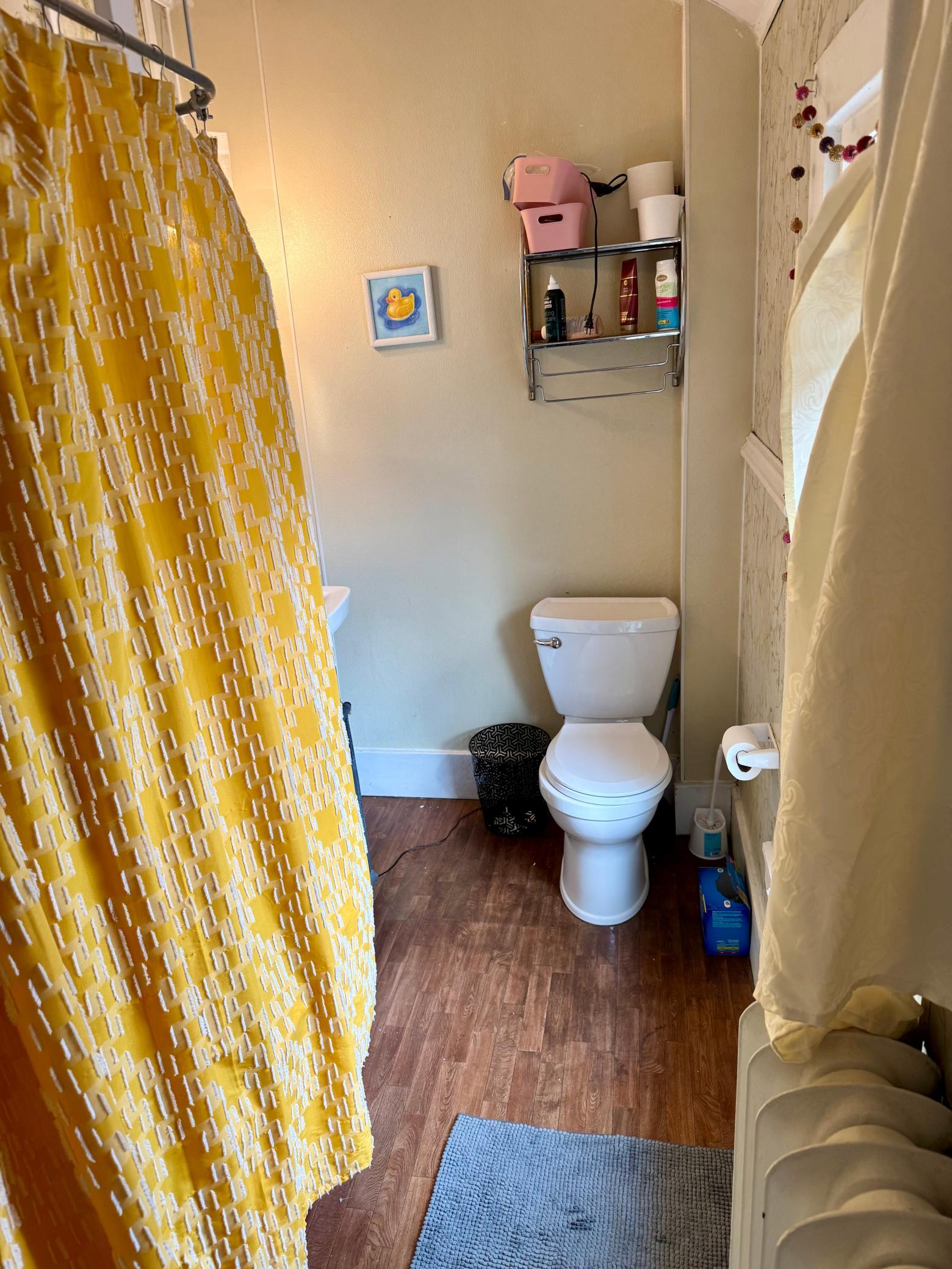 Upstairs Bathroom I.jpeg